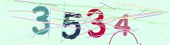 CAPTCHA validation image