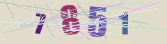 CAPTCHA validation image