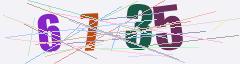 CAPTCHA validation image