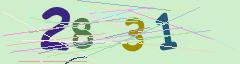 CAPTCHA validation image
