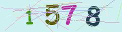 CAPTCHA validation image