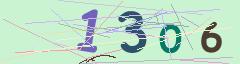 CAPTCHA validation image
