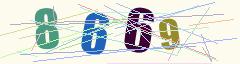 CAPTCHA validation image