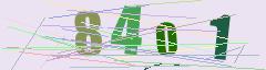 CAPTCHA validation image