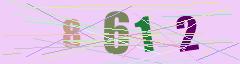 CAPTCHA validation image
