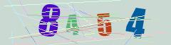 CAPTCHA validation image