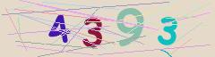 CAPTCHA validation image