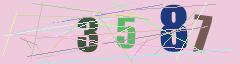 CAPTCHA validation image