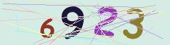 CAPTCHA validation image