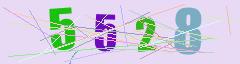 CAPTCHA validation image