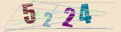CAPTCHA validation image