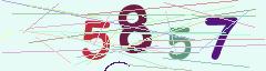 CAPTCHA validation image
