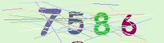 CAPTCHA validation image