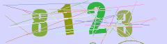 CAPTCHA validation image