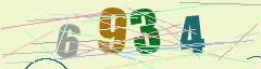 CAPTCHA validation image