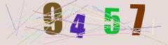 CAPTCHA validation image