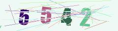 CAPTCHA validation image
