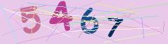 CAPTCHA validation image