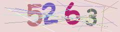 CAPTCHA validation image