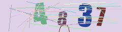 CAPTCHA validation image