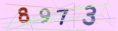 CAPTCHA validation image