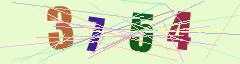 CAPTCHA validation image