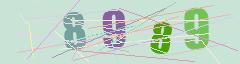 CAPTCHA validation image