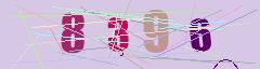 CAPTCHA validation image