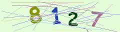 CAPTCHA validation image