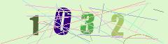 CAPTCHA validation image