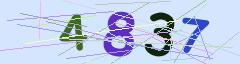 CAPTCHA validation image