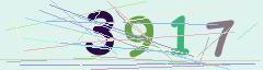 CAPTCHA validation image