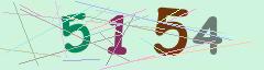 CAPTCHA validation image