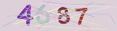 CAPTCHA validation image