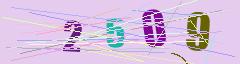 CAPTCHA validation image