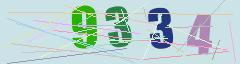CAPTCHA validation image