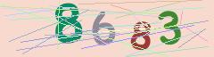 CAPTCHA validation image