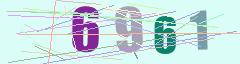 CAPTCHA validation image