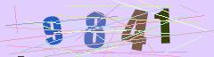 CAPTCHA validation image