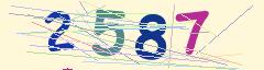 CAPTCHA validation image