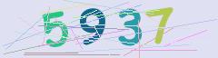 CAPTCHA validation image