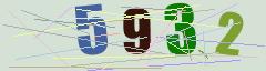 CAPTCHA validation image