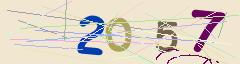 CAPTCHA validation image