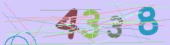 CAPTCHA validation image