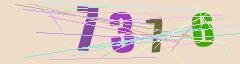 CAPTCHA validation image