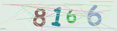 CAPTCHA validation image