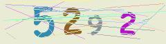 CAPTCHA validation image
