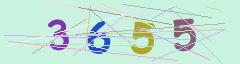 CAPTCHA validation image