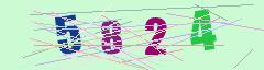 CAPTCHA validation image