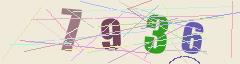 CAPTCHA validation image